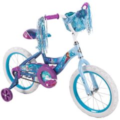 16 inch frozen bike target