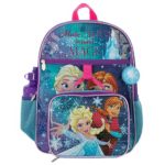 Frozen Backpack and Kids Lunchbox Princess Accessories