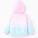 Disney Frozen Elsa Toddler Girl Puffer Jacket: Gradient Lightweight Packable Character Print Hooded Warm Winter Coat With Storage Bag 2pcs 4-5T