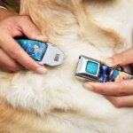 Buckle-Down Seatbelt Buckle Dog Collar – Frozen Elsa the Snow Queen Poses/Snowflakes – 1″ Wide – Fits 11-17″ Neck – Medium