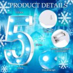 Kittmip1 Piece Frozen LED Number Light White Frozen Snow Themed Light up Number Blue Snowflake Birthday Party Decoration for Christmas Home Wedding Decoration, Battery Operated(Number 5)